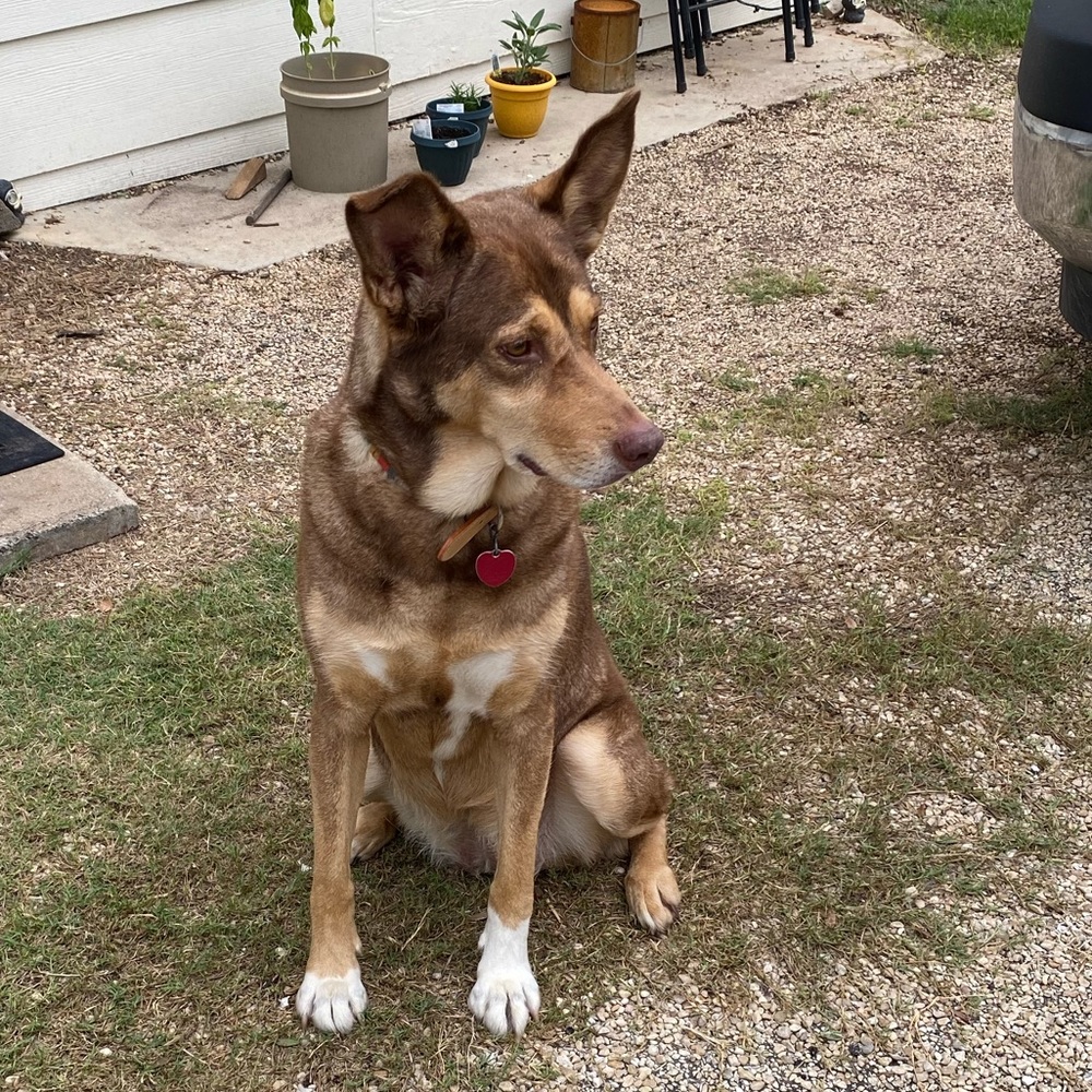 Meet your Posher, Kristi